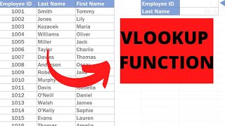 How to use vlookup function in Excel [upl. by Yrannav235]