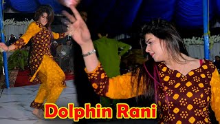 Salgai Salgai  Dolphin Rani New DAnce  Pashto Song  New Dance 2024 Punjab Studio Pak [upl. by Yarvis]