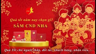 Hàm lượng Ginsenoside hoạt chất sinh học quí của nhân sâm Canada lên đến 96 [upl. by Brittney]