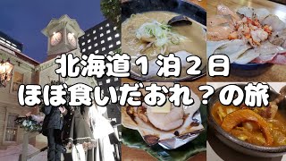 【Vlog】真冬に北海道旅行してみた【札幌】 [upl. by Aduh]