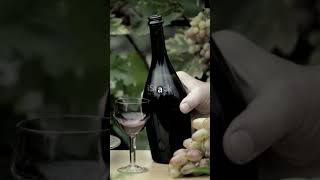 Sip the Magic Shiraz Cabernet Blend wine winelovers winetasting [upl. by Adnar]