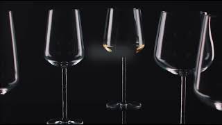 Zwiesel Glas Journey Allround Weinglas mit Moussierpunkt [upl. by Anirahs]