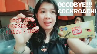 Effective Cockroach Killer or Trap  Habro Goodbye Roach House Review [upl. by Karlan]