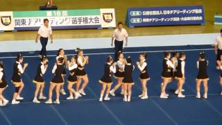 2014 関東チアリーディング選手権Div１ 広尾学園高校 ＴＨＵＮＤＥＲＳ [upl. by Harras810]