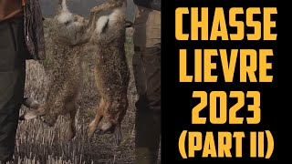 Chasse aux lièvres 2023 Partie 2 [upl. by Oinimreh]