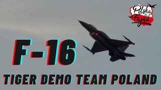 F16 Tiger Demo Team Poland ANTIDOTUM Leszno 2023 [upl. by Stone]