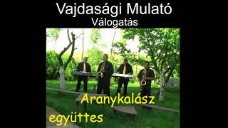 Vajdasági Mulató  Aranykalász együttes [upl. by Josiah]