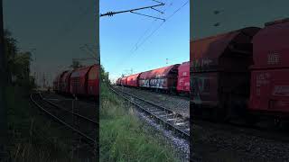 Stadler Eurodual 159 2435 auf Durchfahrt in Kornwestheim auf der Schusterbahn bahn train [upl. by Angelia914]