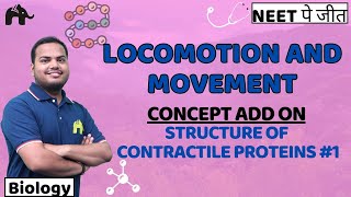 Locomotion amp Movement Class 11 Biology NEET  NCERT Chapter 17 Structure of Contractile Proteins 1 [upl. by Latta]