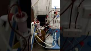 Dialysis machine ak98 gambro nrs [upl. by Orian]