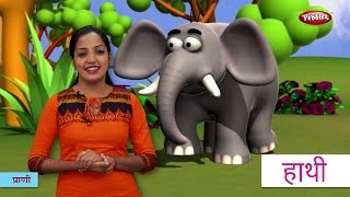 Animal Names in Hindi  हिंदी में प्राणियों के नाम सीखे  Hindi Animal Names For Children [upl. by Nataniel]