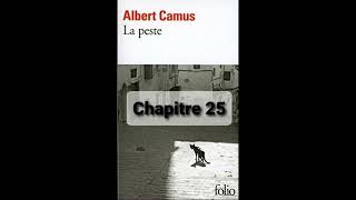 25  La peste de Camus  Chapitre 25  livre audio [upl. by Nord]