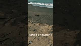 環境教育教材教法期中短影音影片 海哭 [upl. by Ragucci]