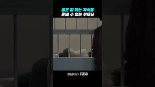 옳은 일 하는 자식을 혼낼 수 없는 부모 응답하라1988 응답하라1988명장면 [upl. by Conley]