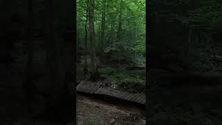 60 Second Hikes  Lake Hope State Park WATCH TO THE END FOR THE BEST CLIPS [upl. by Spoor]