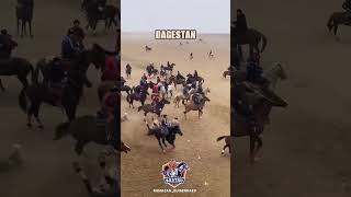 horse kingtjk rek fargonamashinabozorinarxlari лошади tjk tojik wwe avto [upl. by Va]