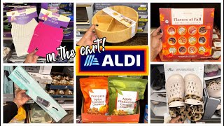 ALDI FINDS THIS WEEK  ALDI FOOD SHOPPING  ALDI FALL 2024  ALDI SHOP WITH ME [upl. by Viridi]