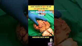 Einstein brain cutting 240 pices for researching  trending facts viralvideo [upl. by Nuzzi]