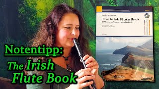 NotenEmpfehlung für die Blockflöte The Irish Flute Book von Patrick Steinbach irische Musik CD [upl. by Lahcear]