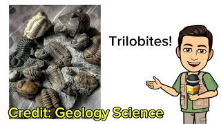 What is an Index Fossil Short Video [upl. by Yesac]