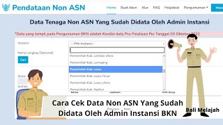 Cara Cek Data Honorer Non ASN di BKN Cek sekarang untuk melamar jalur PPPK 2024 [upl. by Simara]