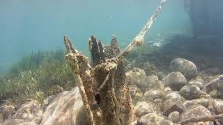 Snorkeling in Molyvos Lesvos Rollei 500 Sunrise action cam [upl. by Brenna]