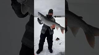 Amazing Lake Trout Ice Fishing on Lake Athabasca [upl. by Vincelette]