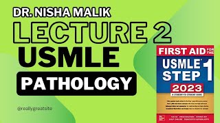 usmle pathology lecture 2  dysplasia [upl. by Kcirrez]