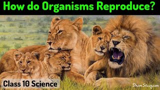 How do Organism Reproduce  CBSE Class 10 X Science Biology  Toppr Study [upl. by Roselle107]