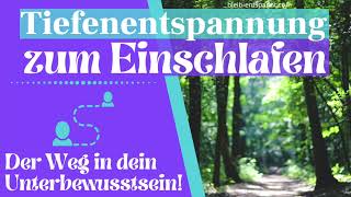 Meditation zum Einschlafen  Reise ins Unterbewusstsein  Tiefenentspannung Hypnose zum Einschlafen [upl. by Eulalia]