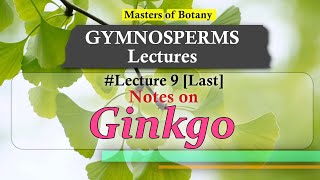 Lecture 9  Ginkgo Maiden Hair Tree General features amp Life Cycle  Gymnosperm Lecture Notes [upl. by Delwin]