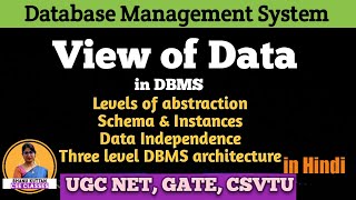 17 Schemas And Instance In DBMS In Hindi  What Is Schema In Database  dbms course online [upl. by Akoek]