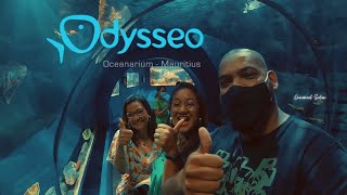 Odysseo Oceanarium  Mauritius [upl. by Eelydnarb153]