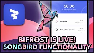 BiFrost Wallet Walkthrough  Demo  Songbird Functionality Included [upl. by Ignacia723]