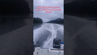 Going through the narrows with Haida Gwaii Sports Fishing oceanlife beautifulbritishcolumbia [upl. by Romeo]