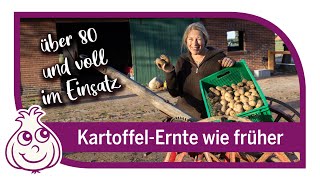 Kartoffeln ernten wie früher [upl. by Bloxberg]