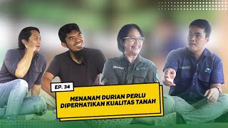 MENANAM DURIAN PERLU DIPERHATIKAN KUALITAS TANAH durianpremium duriantraveler durianlovers [upl. by Vallo831]