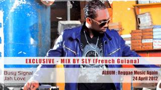 Busy Signal  Reggae Music Again ALBUM Mix  Exclusive 2012 [upl. by Lak]