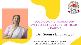 Scoliodon circulatory system  STRUCTURE OF HEART  PART 1  Dr Seema bharadwaj [upl. by Anilocin]