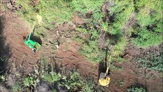 68 Waipuilani Road Tree Removal [upl. by Newfeld]