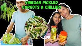 Vinegar Pickled Carrots amp Chillies Super Easy Recipe [upl. by Namijneb]