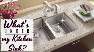 WHATS UNDER MY KITCHEN SINK  How to Organize Under the Kitchen Sink Cabinet [upl. by Trilby]