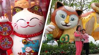 Why Does Vietnam Celebrate the Year of the Cat [upl. by Jareb]