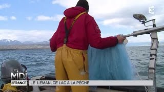 SUIVEZ LE GUIDE  Le Léman ce lac a la pêche [upl. by Spike923]