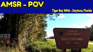 Peaceful ASMR Drive Through Tiger Bay State Forest  Nature Sounds [upl. by Inihor]