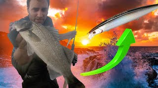 PESCA DE LUBINA A SPINNING con caña desde costa con 🟢SEÑUELO DE ALIEXPRESS 🟢 [upl. by Cristabel]