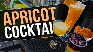 3 APRICOT COCKTAILS using my HOMEMADE Apricot Brandy [upl. by Llenyaj395]