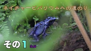 ネイチャービバリウムへの道のり その１ 洗脳 [upl. by Ohl]