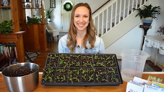 How to start seeds indoors with step by step instructions and demonstrations Northlawn Flower Farm [upl. by Gnoix]