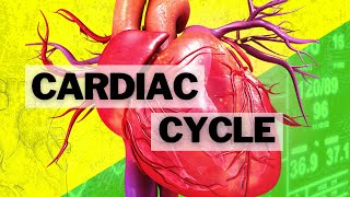 The Cardiac Cycle [upl. by Quintana]